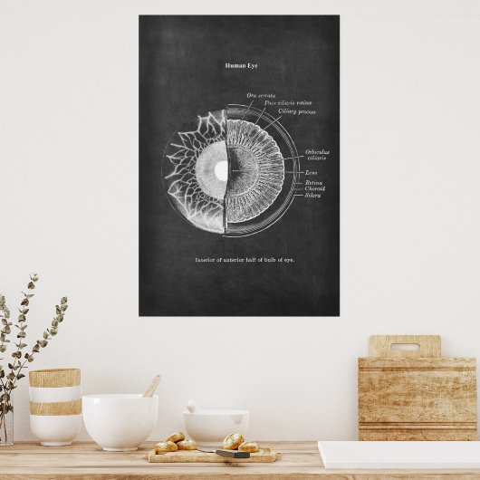 Anatomie der Optometristik des menschlichen Auges Poster (Küche)