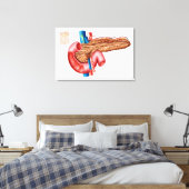 Anatomie der Pankreas Leinwanddruck (Insitu (Schlafzimmer))