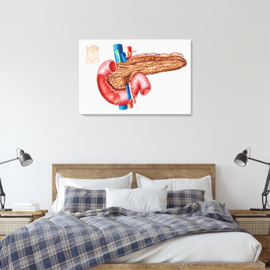 Anatomie der Pankreas Leinwanddruck (Insitu (Schlafzimmer))