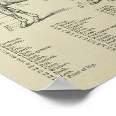 Anatomie der Pferdefläche Poster (Ecke)