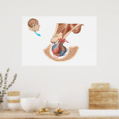 Anatomie der Pituitarlandschaft Poster (Küche)