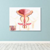 Anatomie der Prostatalandschaft Leinwanddruck (Insitu (Holzboden))