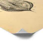 Anatomie der Rinderbrust 1908 Vintag Poster (Ecke)