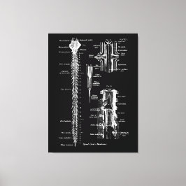 Anatomie der Rückenmarksmembran Medizinische Dekor Leinwanddruck