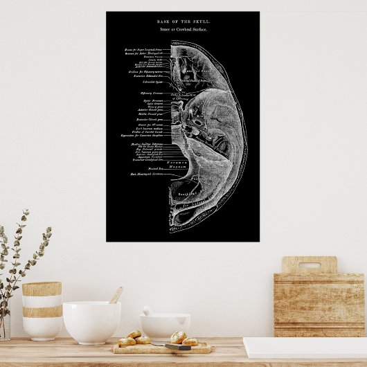 Anatomie der Schädelknochen Poster (Küche)