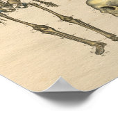 Anatomie der Schädelspine beim Menschen 1841 Print Poster (Ecke)