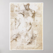 Anatomie der Schulter, Leonardo da Vinci Poster (Vorne)
