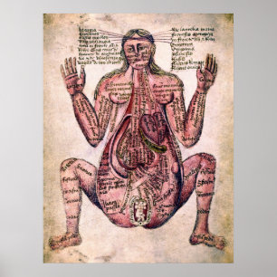 ANATOMIE DER SCHWANGEREN FRAU c. 14 Jahrhundert Poster