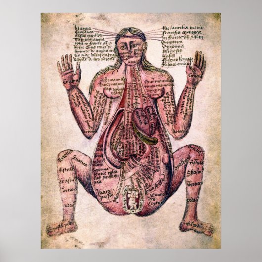 ANATOMIE DER SCHWANGEREN FRAU c. 14 Jahrhundert Poster (Vorne)