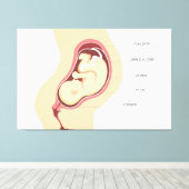 Anatomie der Schwangerschaft Leinwanddruck (Insitu (Holzboden))