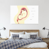 Anatomie der Schwangerschaft Leinwanddruck (Insitu (Schlafzimmer))