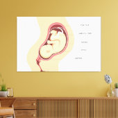 Anatomie der Schwangerschaft Leinwanddruck (Insitu (Wohnzimmer))
