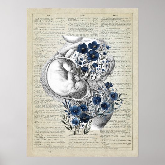 Anatomie der Schwangerschaft mit blauen Blüten Poster (Vorne)