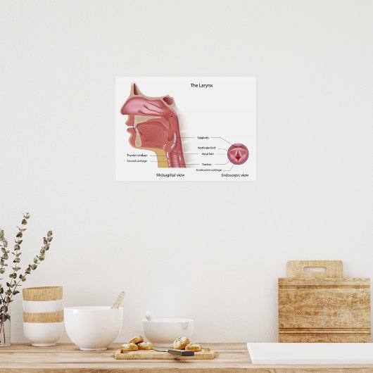 Anatomie der Sprachbox Poster (Küche)