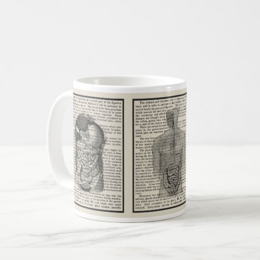Anatomie der Tasse (Vorderseite Links)