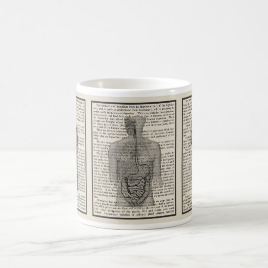 Anatomie der Tasse (Mittel)