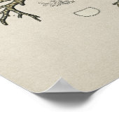 Anatomie der Vintagen Lungenerscheinung Poster (Ecke)