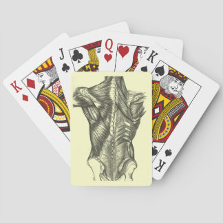 Anatomie der Vintagen Rückseite Spielkarten
