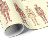 Anatomie der weiblichen Muskeln und Skelette Geschenkpapier (Rolleneckpunkt)