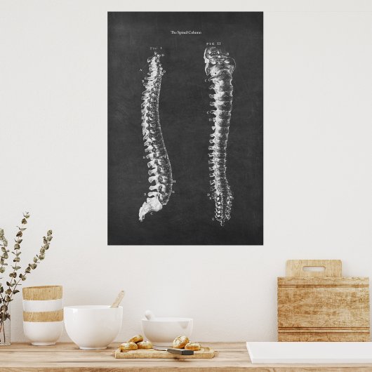Anatomie der Wirbelsäule Physikalische Therapie Ar Poster (Küche)