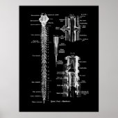 Anatomie der Wirbelsäule Poster (Vorne)