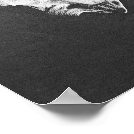 Anatomie der Wirbelsäule Print no.2 Poster (Ecke)