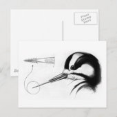 Anatomie der Woodpecker Zunge Postkarte (Vorne/Hinten)
