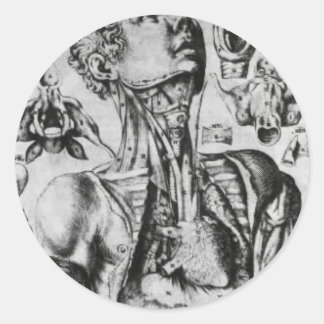Anatomie des Atmungssystems Runder Aufkleber