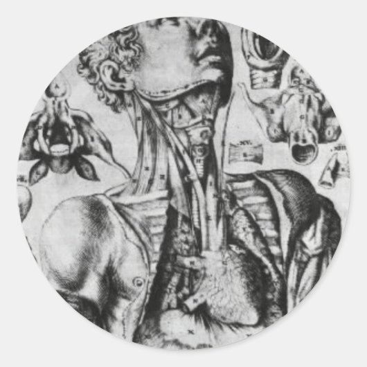 Anatomie des Atmungssystems Runder Aufkleber (Vorderseite)