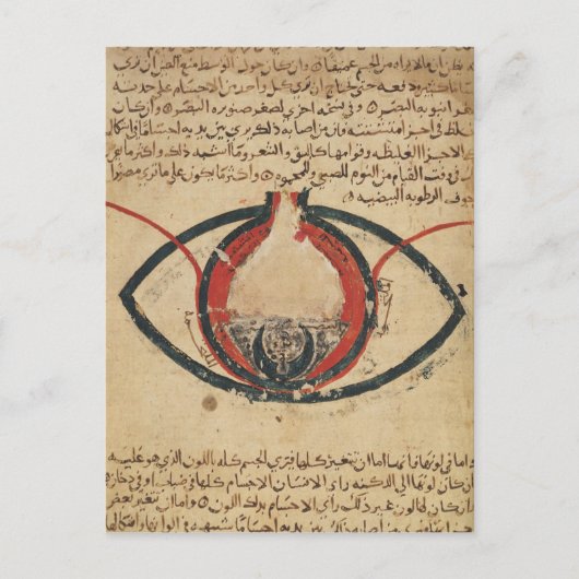 Anatomie des Auges, aus einem Buch über Augenkrank Postkarte (Vorderseite)