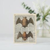 Anatomie des Bats Postkarte (Stehend Vorderseite)