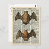Anatomie des Bats Postkarte (Vorne/Hinten)