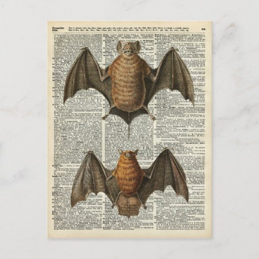 Anatomie des Bats Postkarte (Vorderseite)