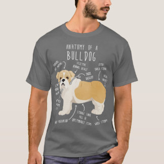 Anatomie des englischen Bulldoggen und des weißen T-Shirt