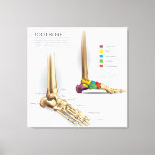 Anatomie des Fußbodens Leinwanddruck (Vorderseite)