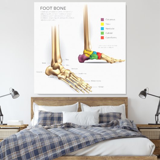 Anatomie des Fußbodens Leinwanddruck (Insitu (Schlafzimmer))