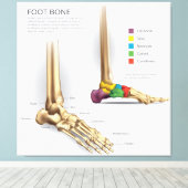 Anatomie des Fußbodens Leinwanddruck (Insitu (Holzboden))