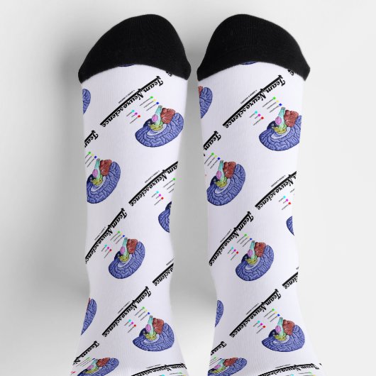Anatomie des Gehirns im Team Neurowissenschaft Att Socken (Oben)