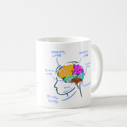 Anatomie des Gehirns mit Etiketten Kaffeetasse (VorderseiteRechts)