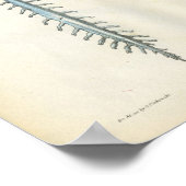 Anatomie des Gehirns und des Rückenmarks Poster (Ecke)