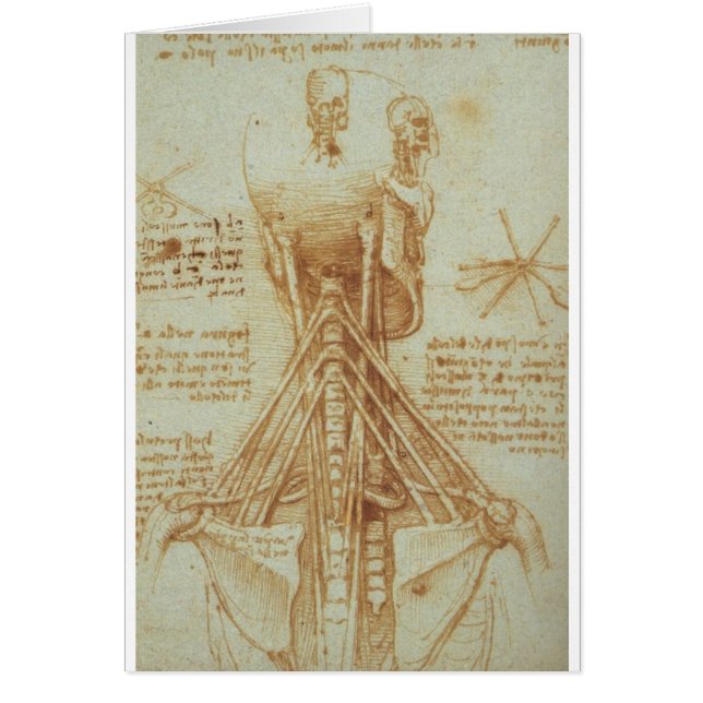 Anatomie des Halses durch Leonardo da Vinci C. (Vorne)