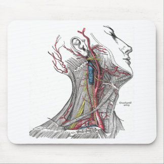 Anatomie des Halses Mousepad
