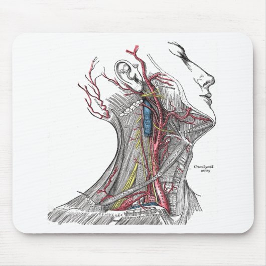 Anatomie des Halses Mousepad (Vorne)
