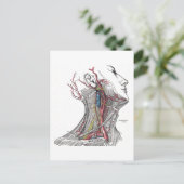 Anatomie des Halses Postkarte (Stehend Vorderseite)