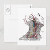 Anatomie des Halses Postkarte (Vorne/Hinten)