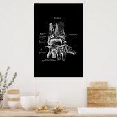 Anatomie des Handgelenks Medizinisches Poster Orth (Küche)