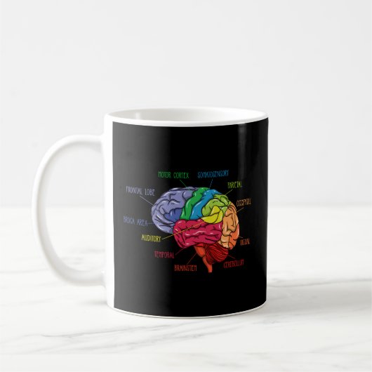 Anatomie des Hirnneurologen Kaffeetasse (Links)