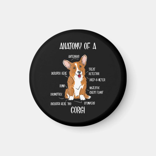 Anatomie des Hundes , Niedliches Welsh Corgi Welpe Magnet (Vorne)