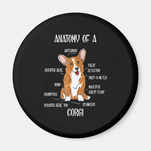 Anatomie des Hundes , Niedliches Welsh Corgi Welpe Magnet (Vorne)