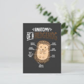 Anatomie des Igels bei Niedlichen Waldtieren Postkarte (Stehend Vorderseite)